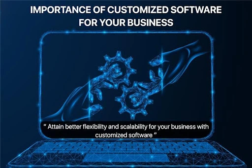 Importance of Customized Software for Your Business